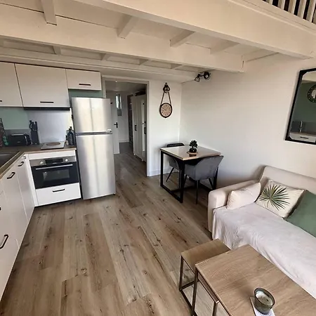 Sublime T2 Mezzanine Renove, Climatise, Parking - - Fr-1-388-235